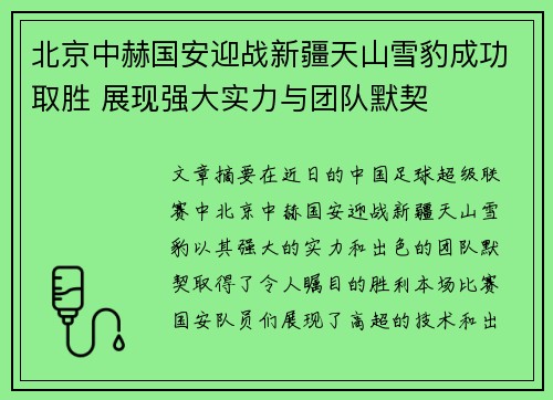 北京中赫国安迎战新疆天山雪豹成功取胜 展现强大实力与团队默契