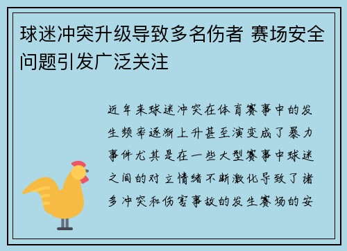 球迷冲突升级导致多名伤者 赛场安全问题引发广泛关注